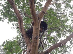 Bee Hives on Charles’ farm
