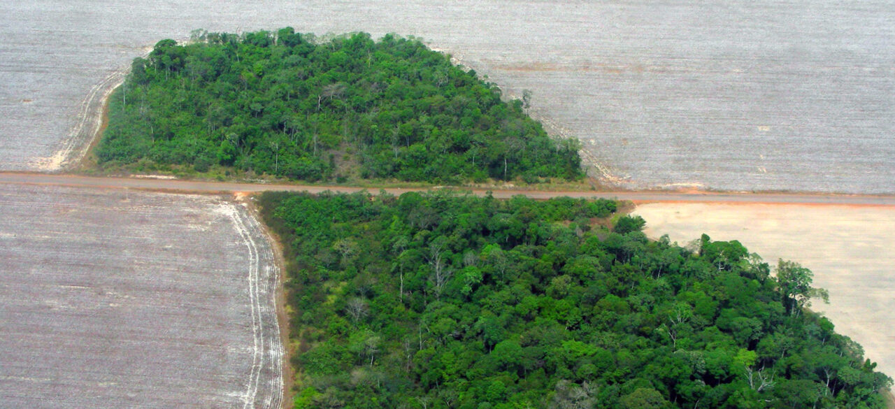 Picture of an area of forest surrounded by deforestation in Brazil