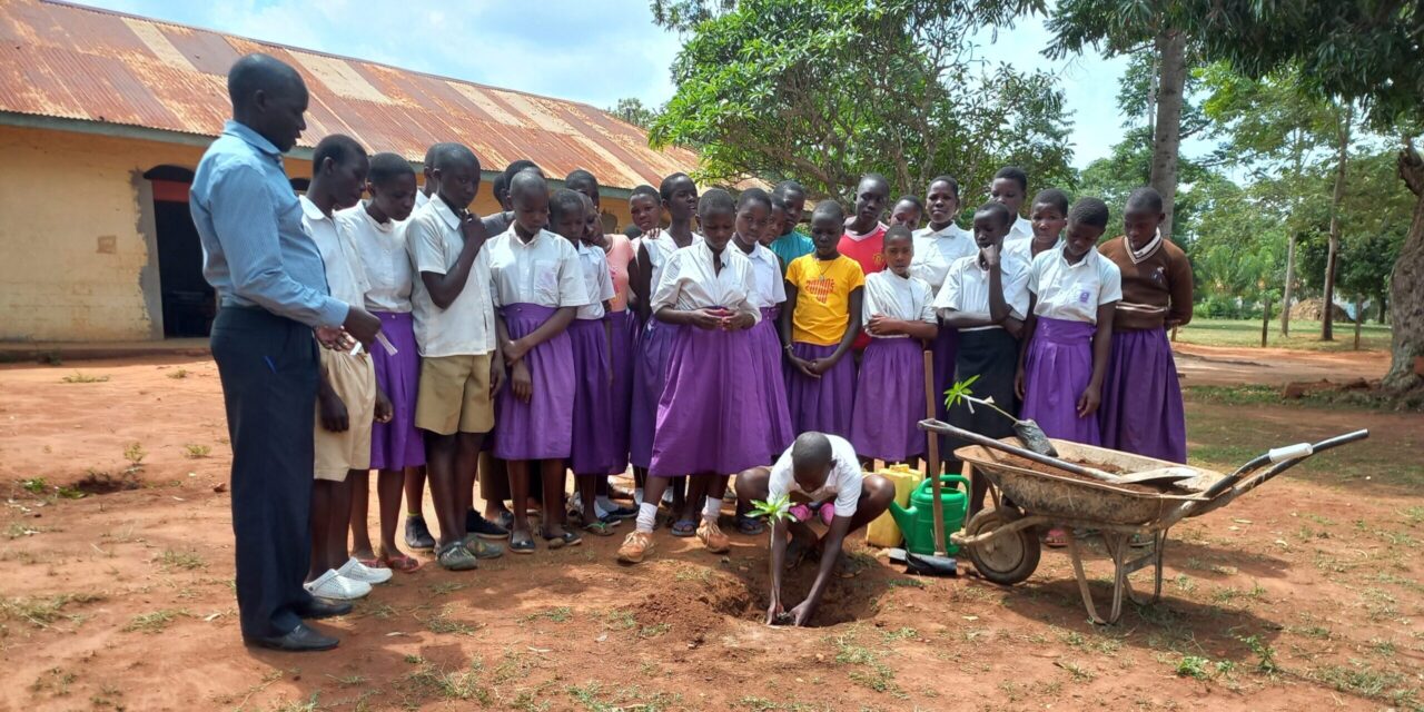 Kolonyi primary school pupils planning a tree