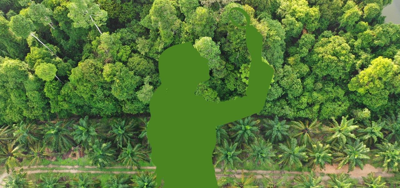 The outline of a person looking through a magnifying glass with a forest background.