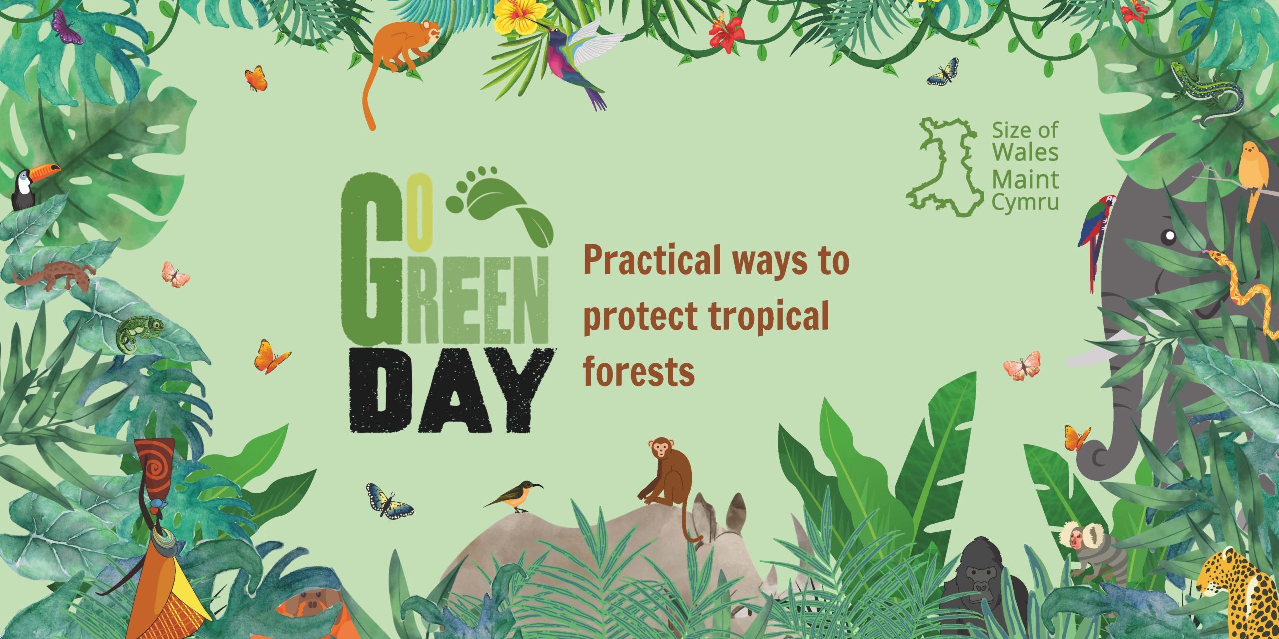 Practical ways to protect tropical forests - Size of Wales
