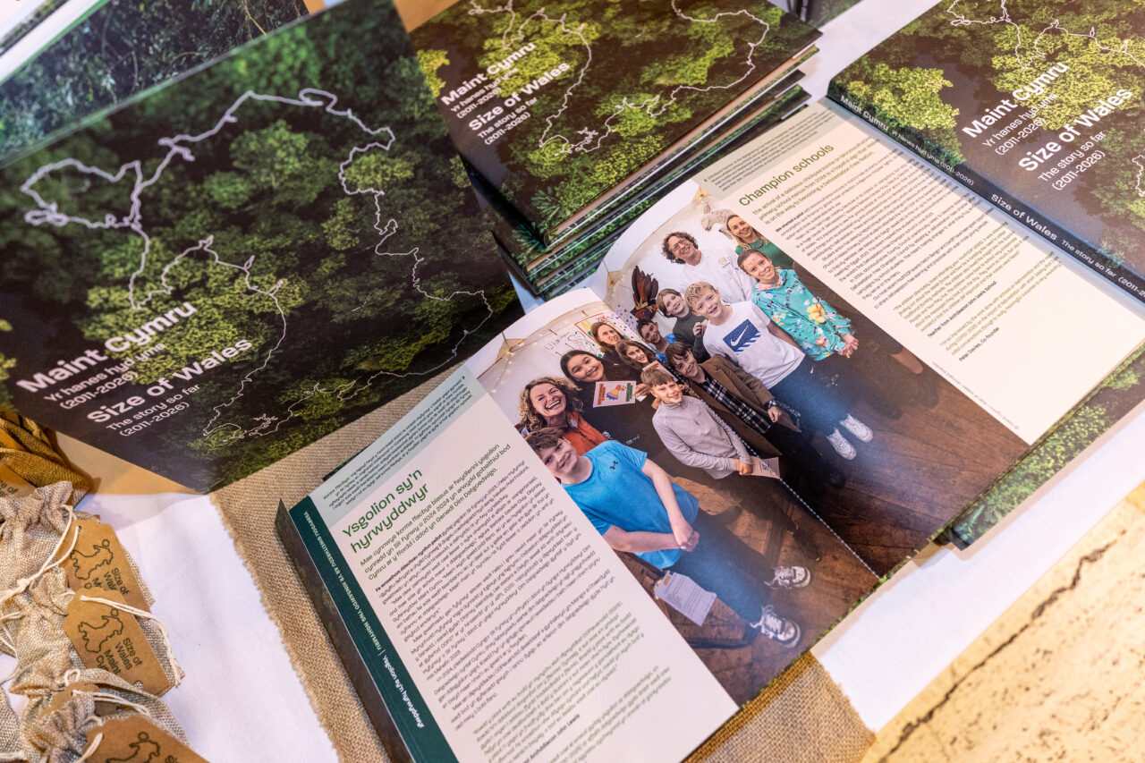 Size of Wales / Saint Cymru: Celebrating 15 years of Size of Wales - book launch & special anniversary event held at The Temple of Peace in Cardiff on Thursday 9th July 2026.