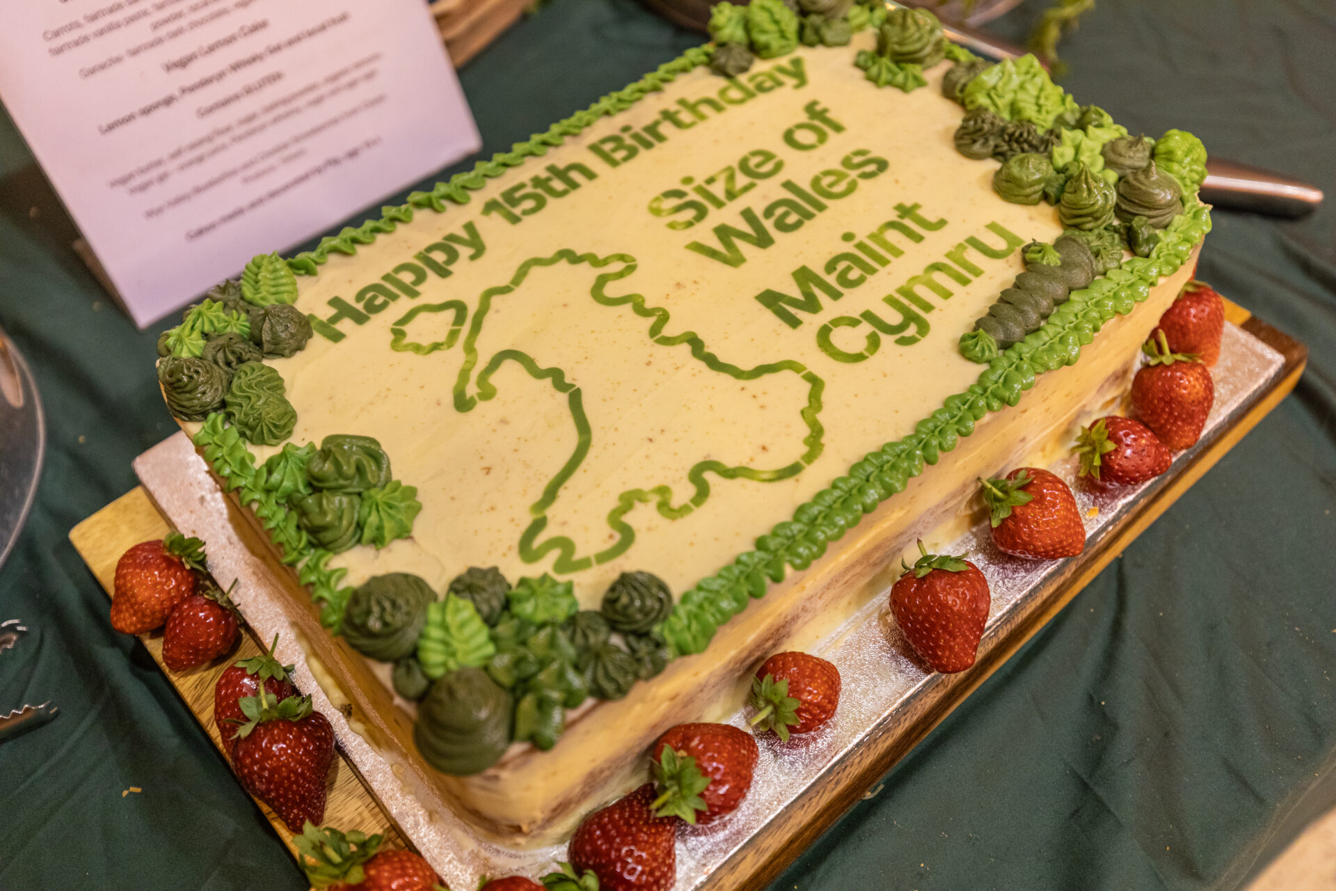 Size of Wales / Saint Cymru: Celebrating 15 years of Size of Wales - book launch & special anniversary event held at The Temple of Peace in Cardiff on Thursday 9th July 2026.